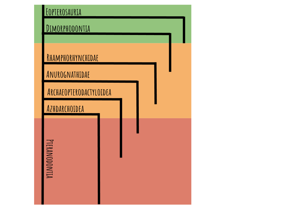 pterosaur-tree