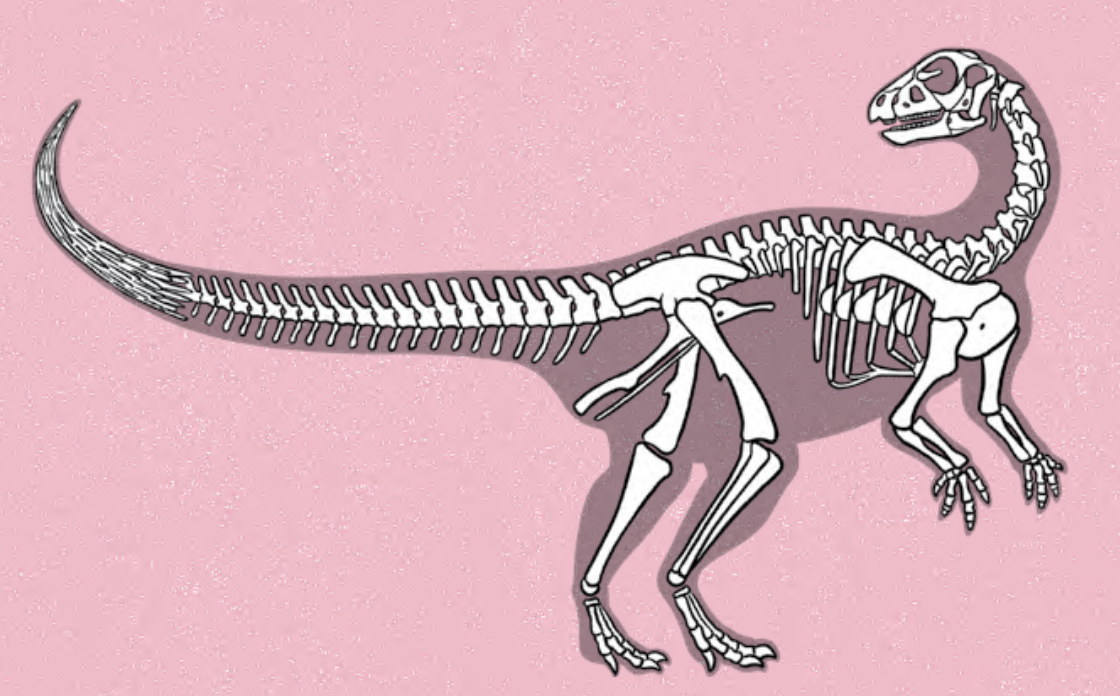 qantassaurus