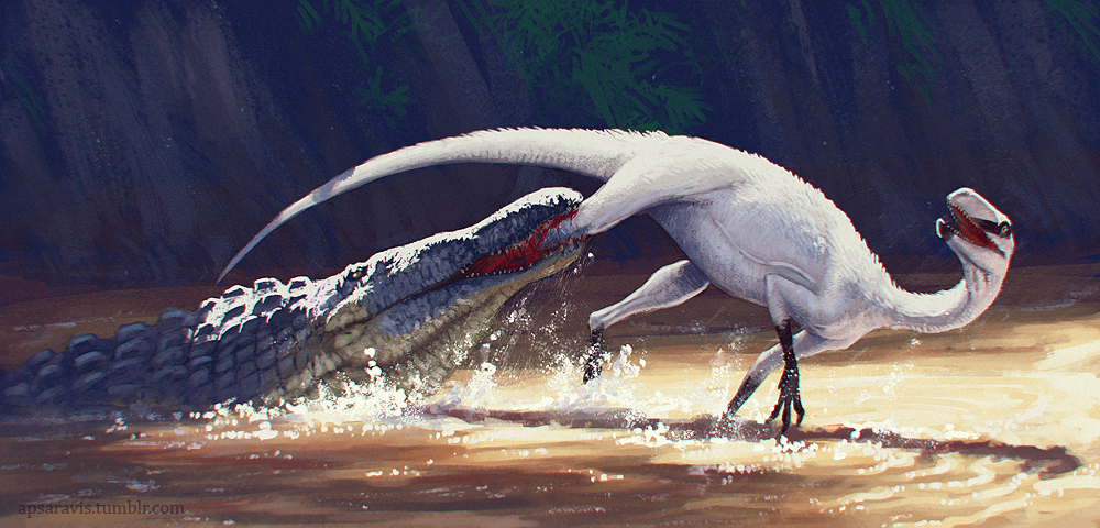 eucoelophysis