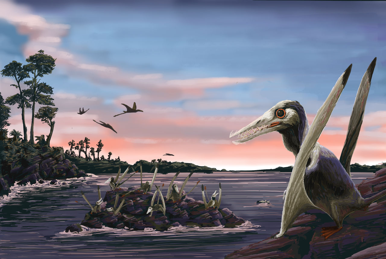 rhamphorhynchus