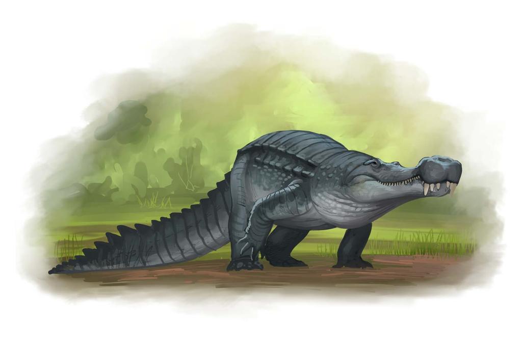 sarcosuchus