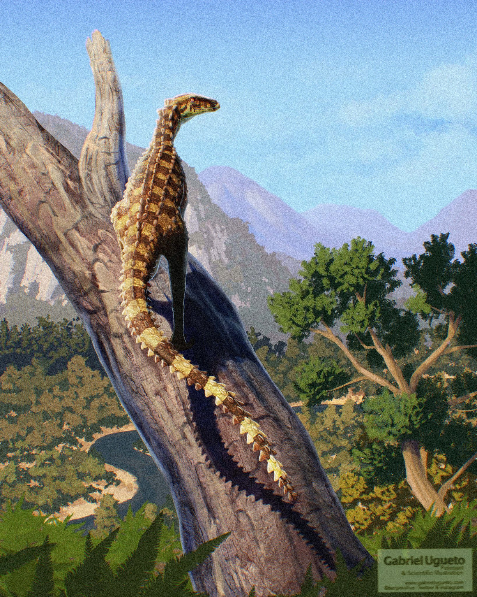 scutellosaurus