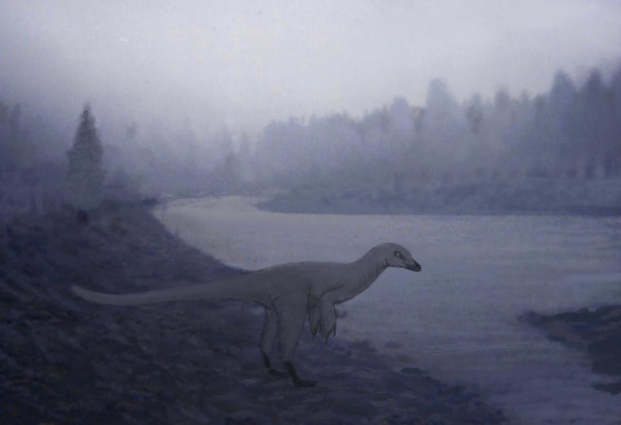 Sinocalliopteryx