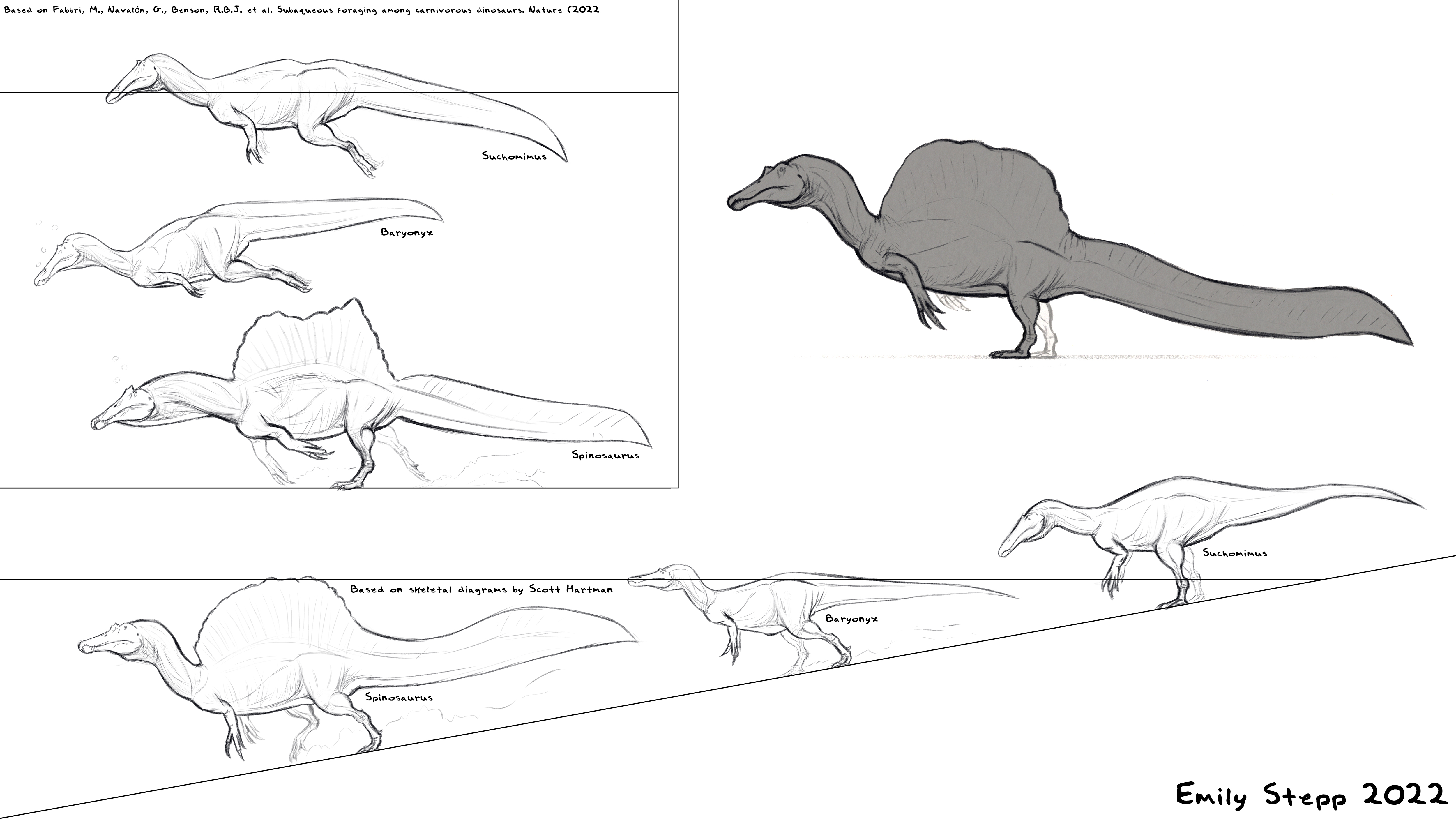 Spinosaur comparisons