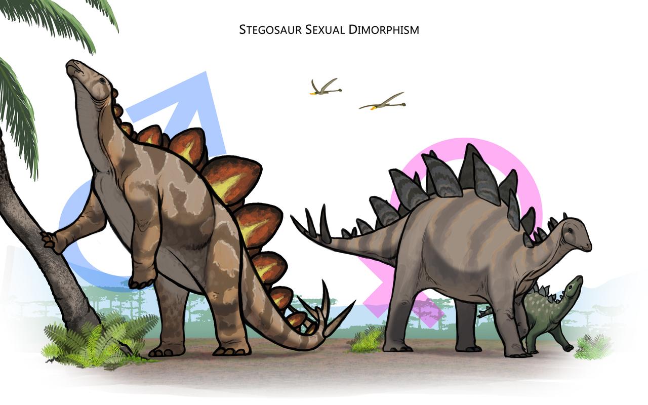 stegosaurus