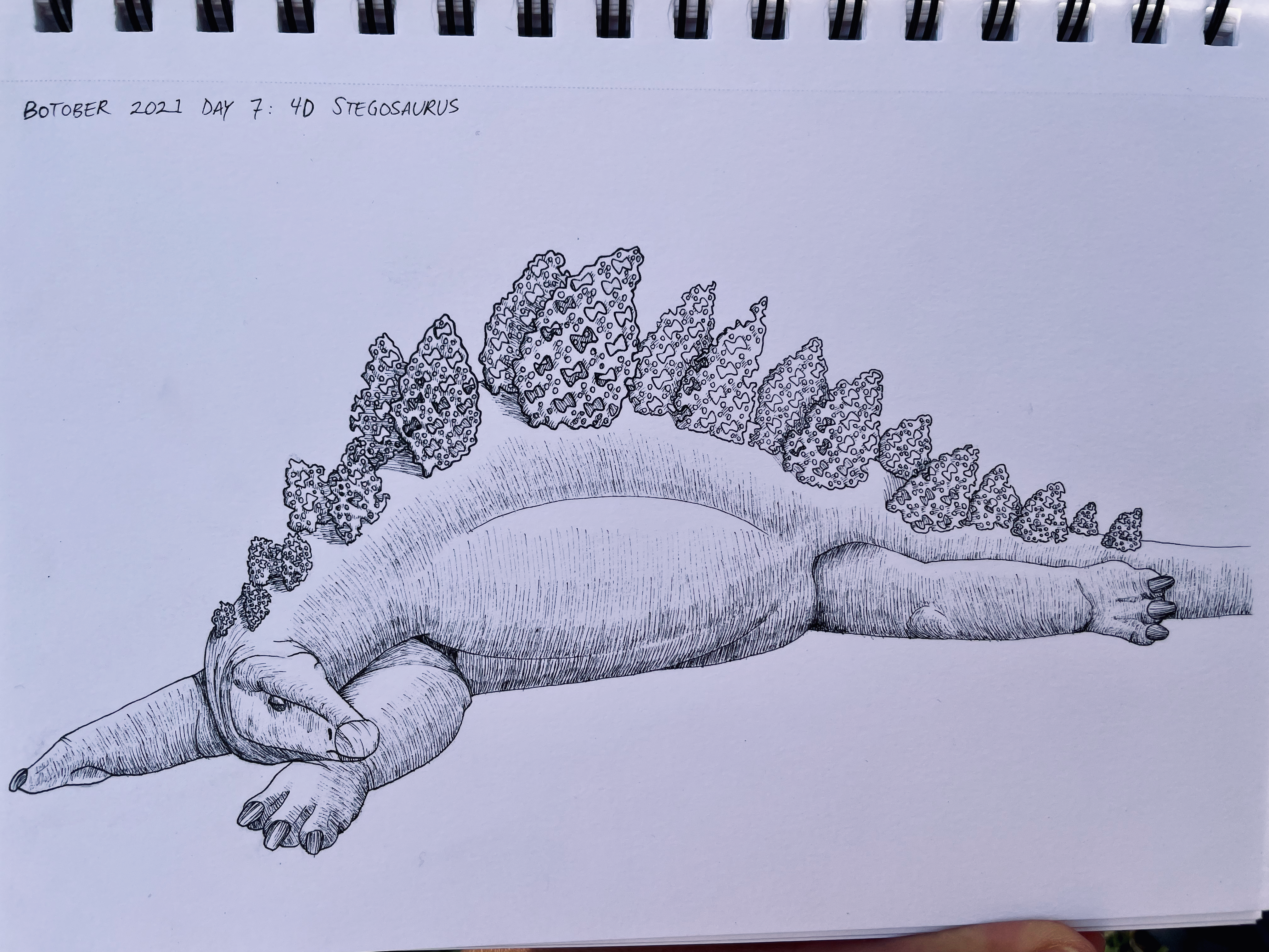 stegosaurus