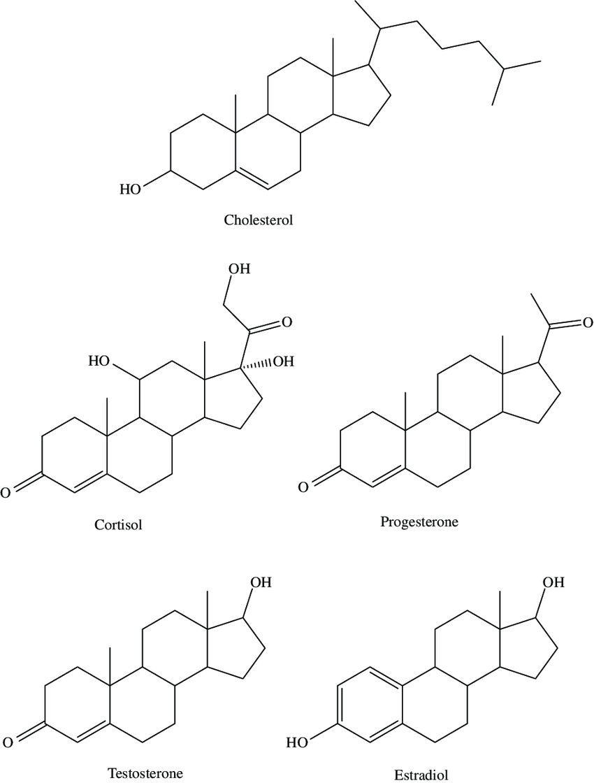 steroid-structure