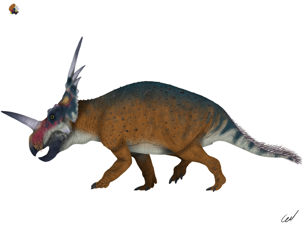 styracosaurus