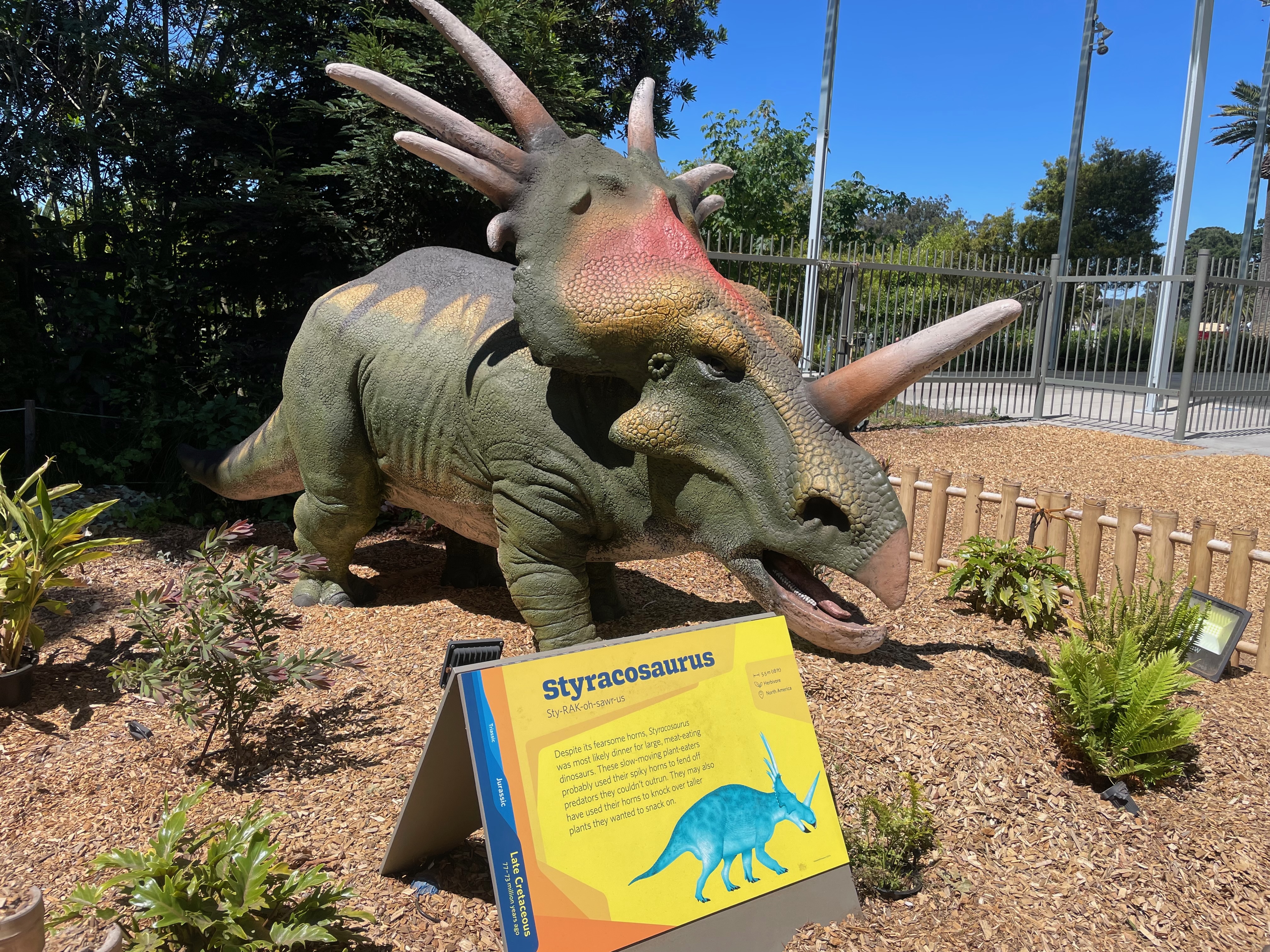 styracosaurus