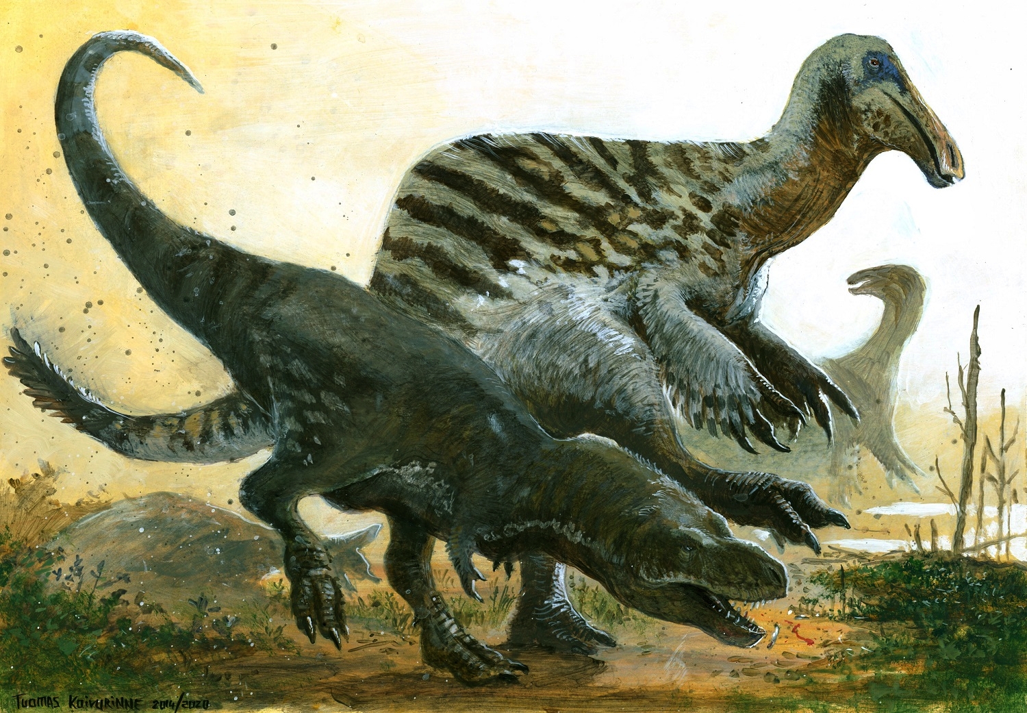 Deinocheirus  Dinosaurs - Pictures and Facts