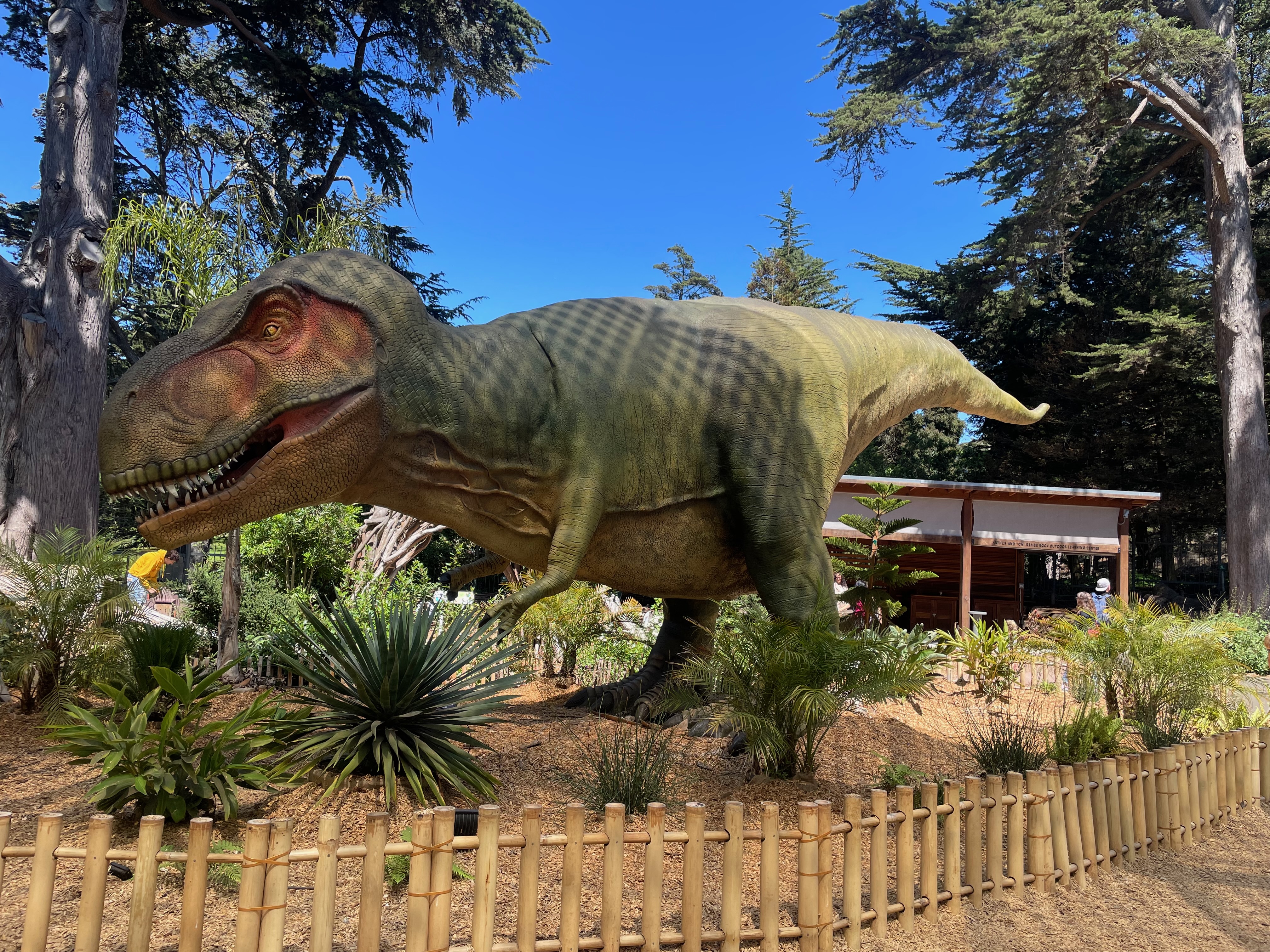 tyrannosaurus