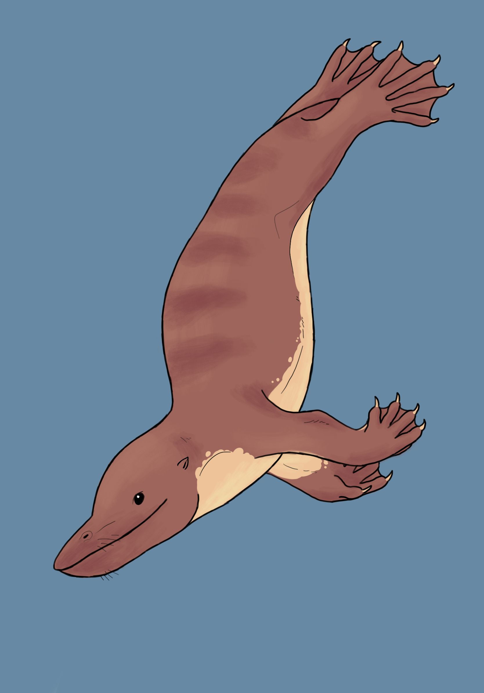 Ambulocetus Whale